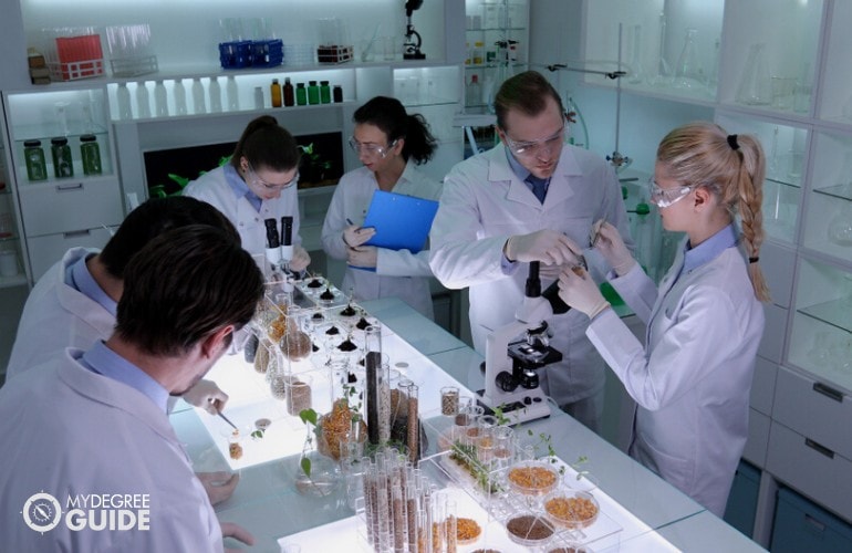 biologists working in a laboratory