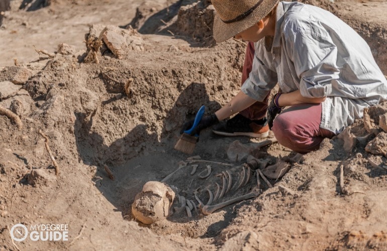anthropologist checking ancient bones