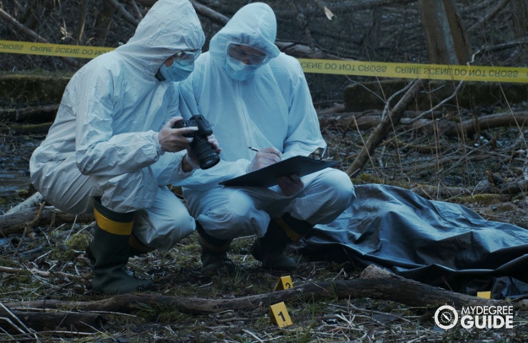 Private Detectives investigating the crime scene