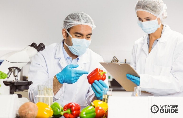 food scientists working in laboratory