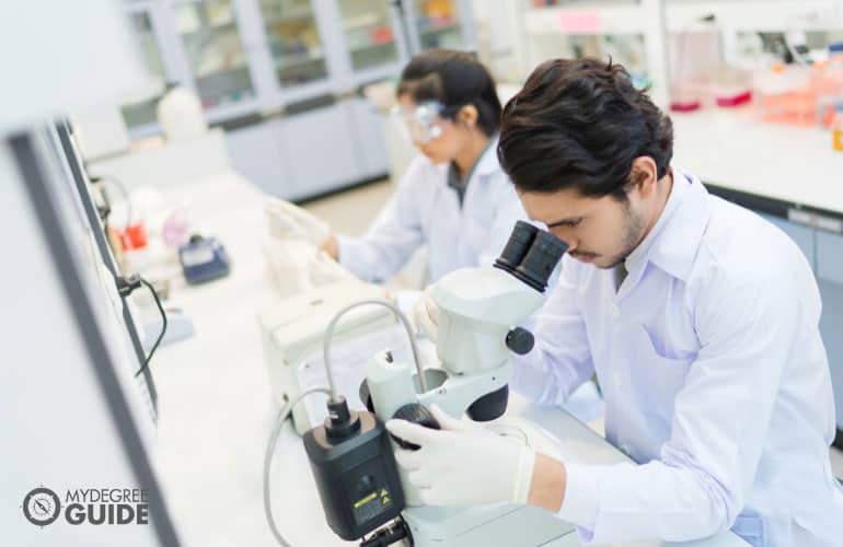 research scientists working in a laboratory