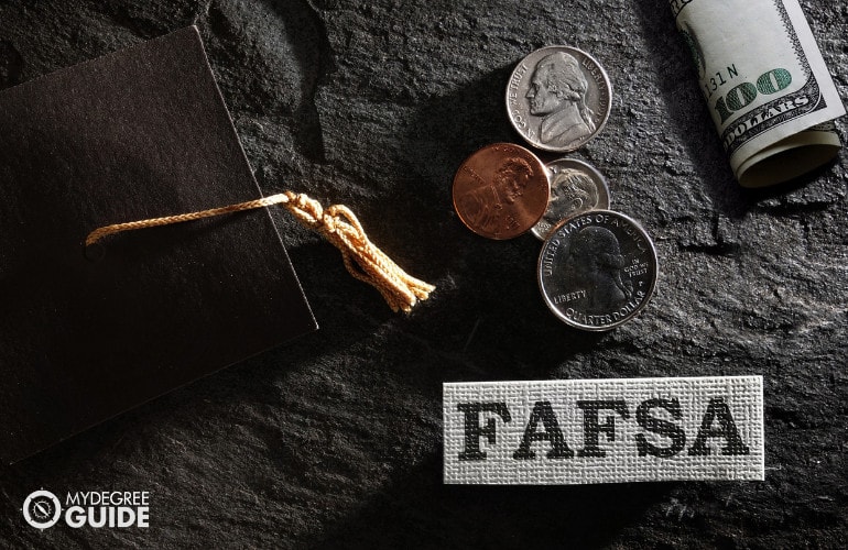 a screenshot of the FAFSA website
