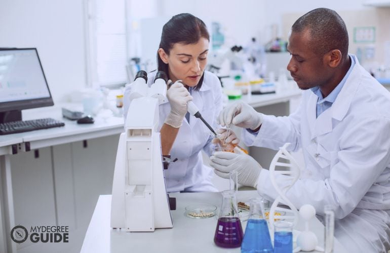 Medical Scientist & Biochemist researching together