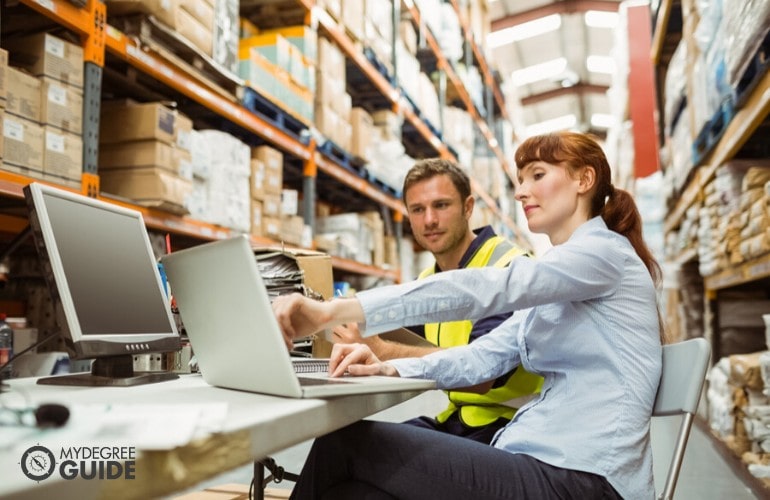 logistics manager checking online inventories with employee