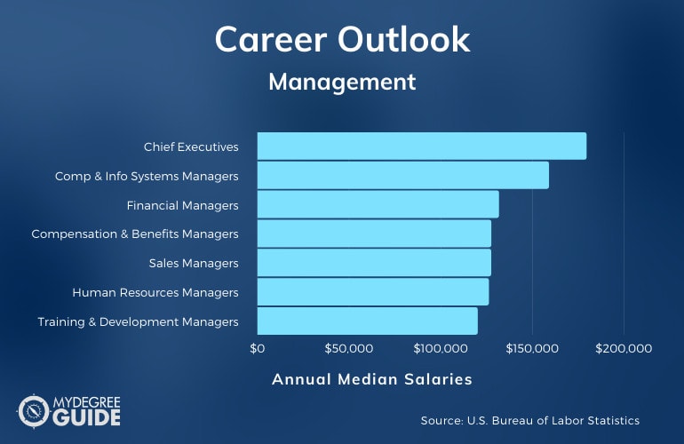 Management Careers & Salaries